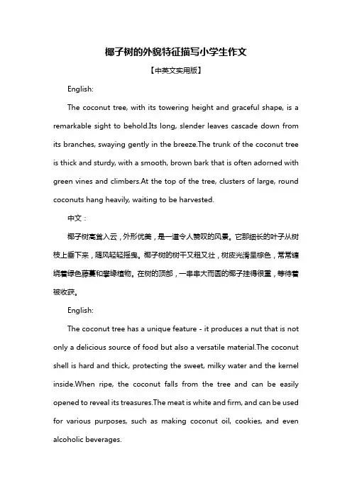 椰子树的外貌特征描写小学生作文