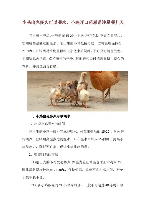 小鸡出壳多久可以喂水,小鸡开口药恩诺沙星喂几天