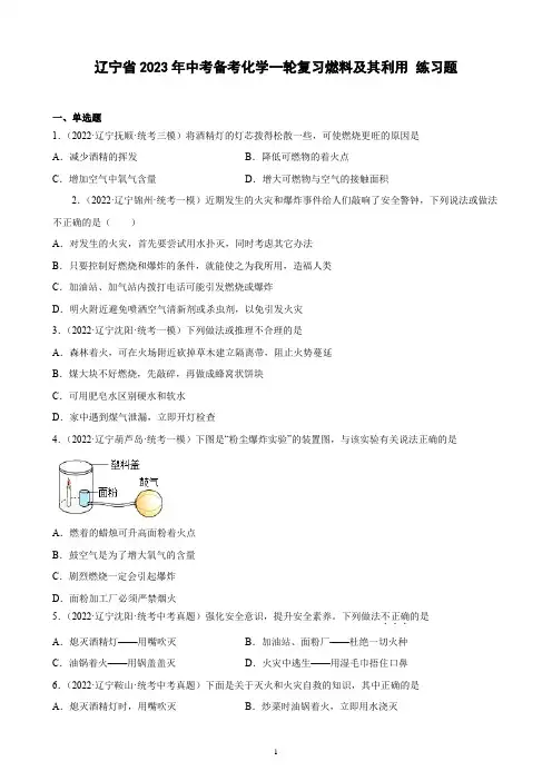 辽宁省2023年中考备考化学一轮复习燃料及其利用 练习题(含解析)