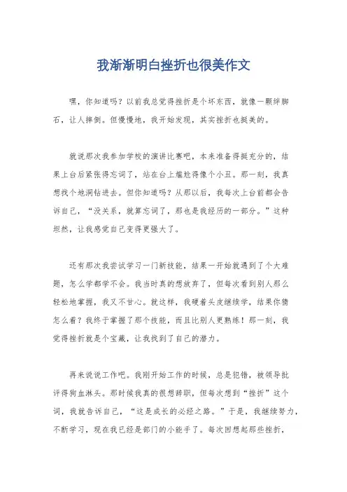 我渐渐明白挫折也很美作文