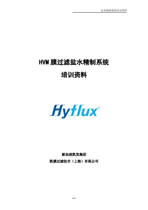 新加坡凯发集团HVM膜过滤盐水精制系统培训资料