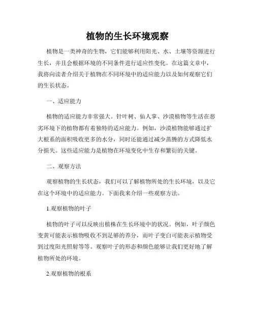 植物的生长环境观察