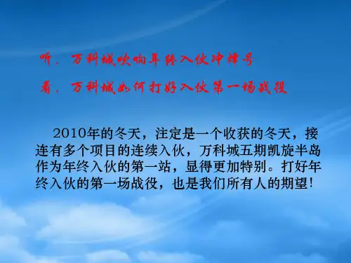 某地产项目入伙工作总结报告