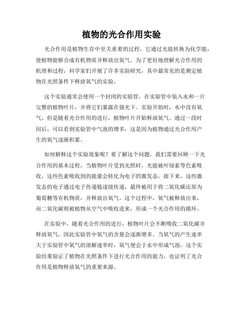 植物的光合作用实验