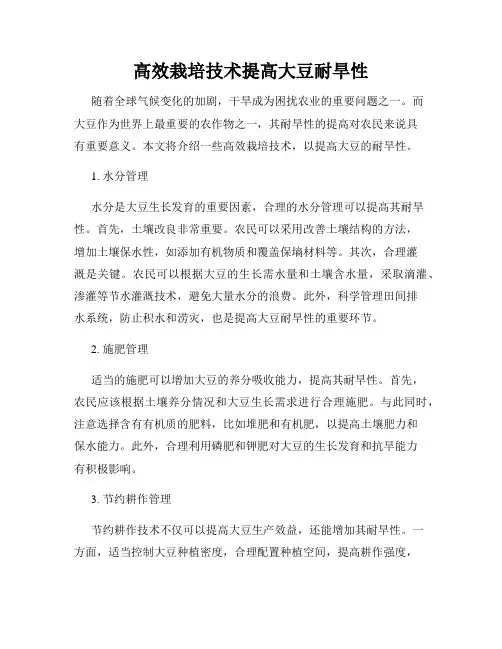 高效栽培技术提高大豆耐旱性