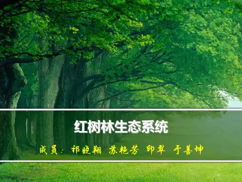 红树林生态系统