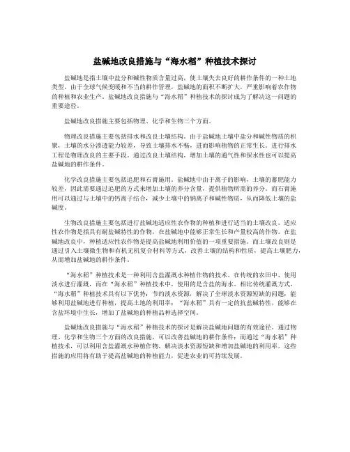 盐碱地改良措施与“海水稻”种植技术探讨