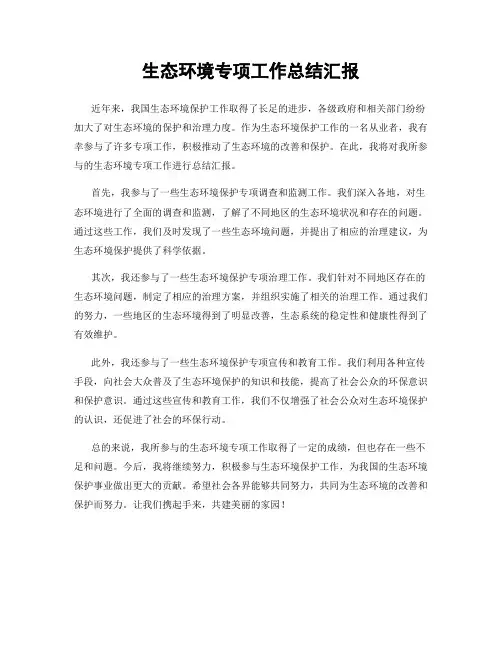 生态环境专项工作总结汇报