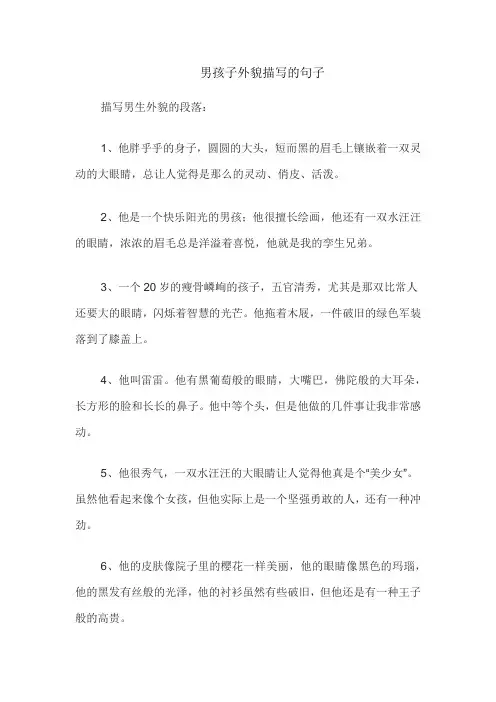 男孩子外貌描写的句子