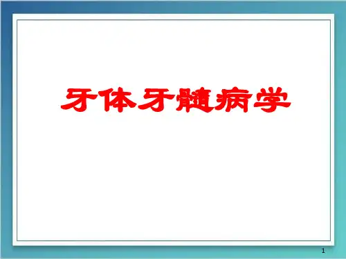 牙体牙髓病学PPT医学课件