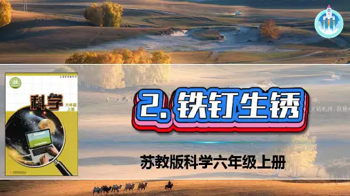 苏教版科学六年级上册2铁钉生锈PPT2022