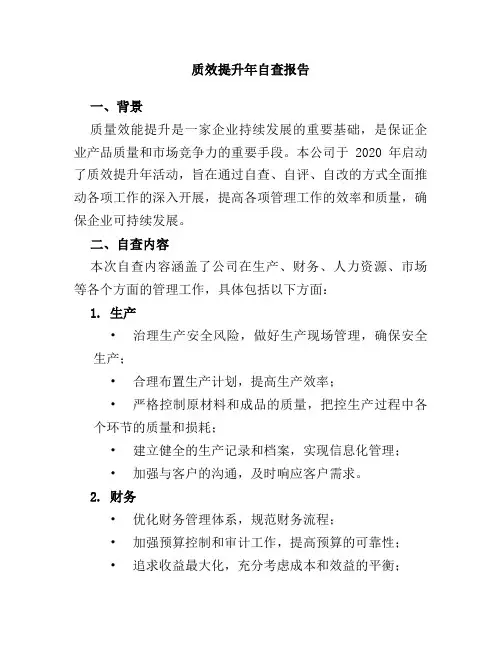 质效提升年自查报告