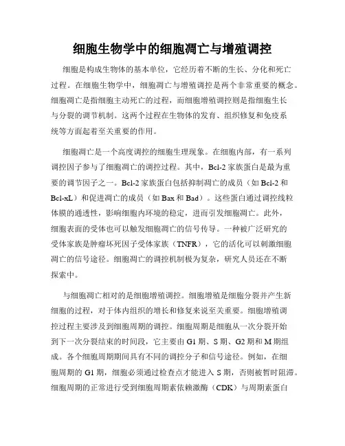 细胞生物学中的细胞凋亡与增殖调控
