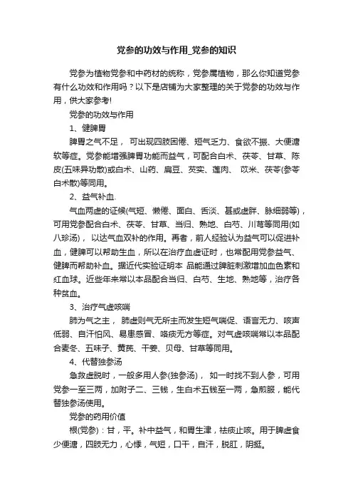 党参的功效与作用_党参的知识