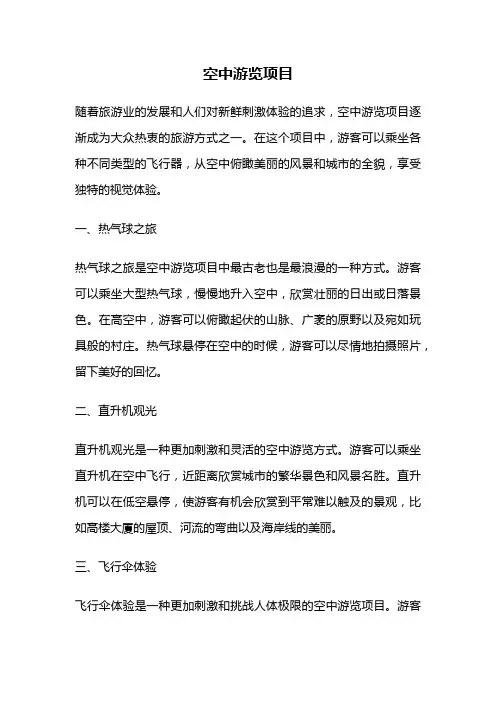 空中游览项目