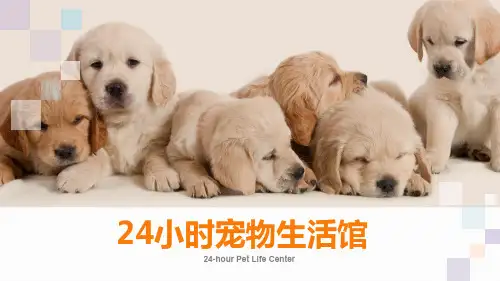 宠物生活馆计划书pptx
