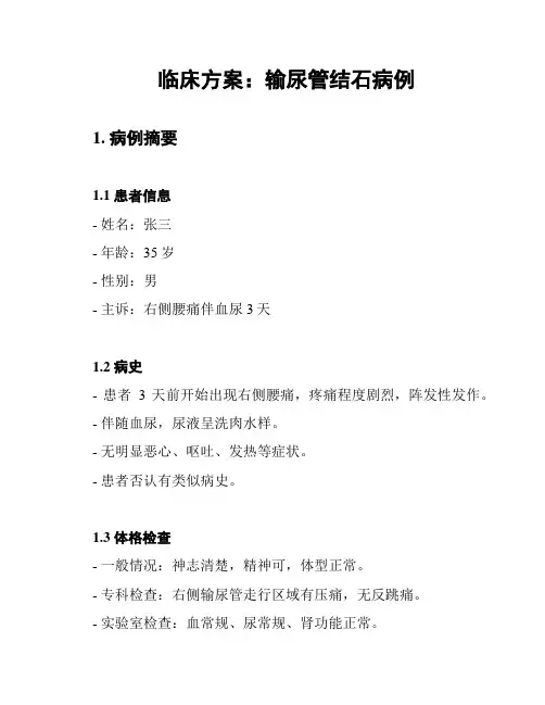 临床方案：输尿管结石病例
