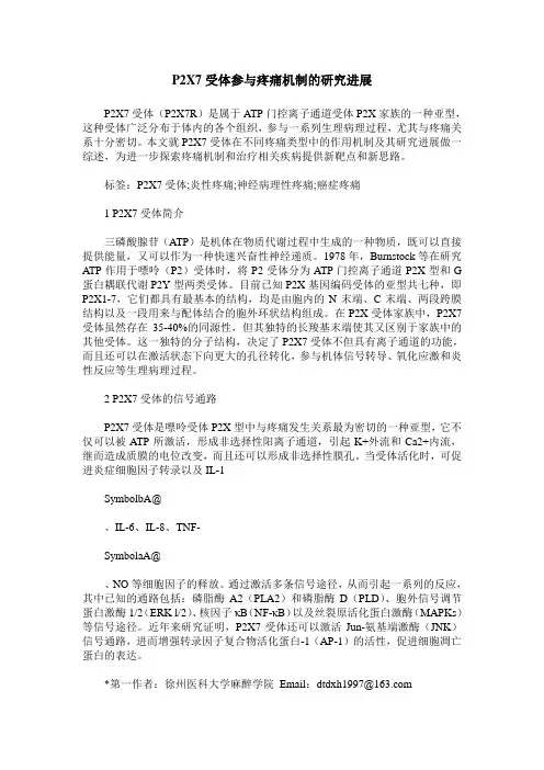 P2X7受体参与疼痛机制的研究进展