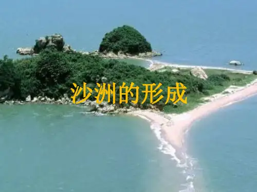 五年级科学下册_14沙洲的形成冀人版ppt(13张)标准课件