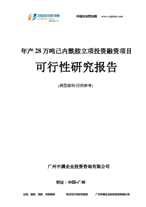 年产28万吨己内酰胺融资投资立项项目可行性研究报告(中撰咨询)