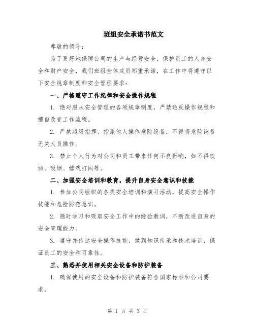 班组安全承诺书范文