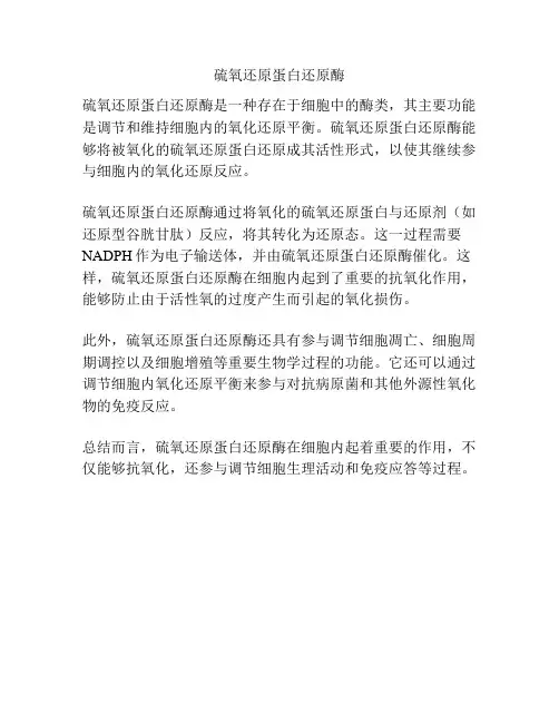 硫氧还原蛋白还原酶