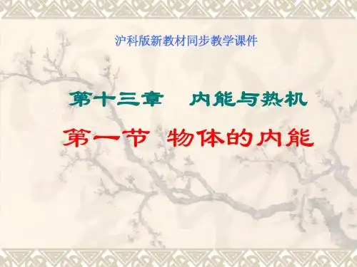 新沪科《物体的内能》ppt课件