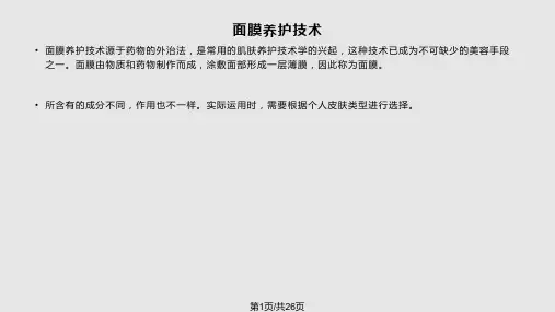 面膜PPT课件