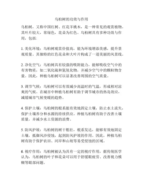 乌桕树的功效与作用