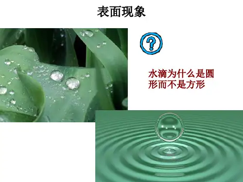 第三章表面张力及表面活性剂在界面上的吸附