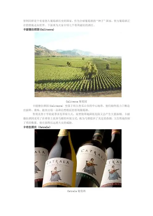 智力七大葡萄酒庄园