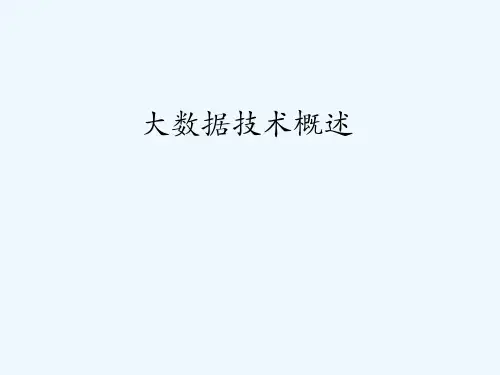 大数据技术概述