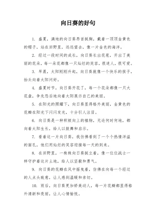 向日葵的好句