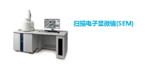 扫描电子显微镜(SEM)-介绍-原理-结构-应用