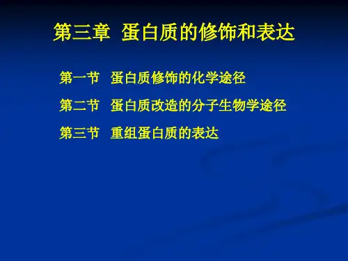 蛋白质工程--3蛋白质的修饰和表达