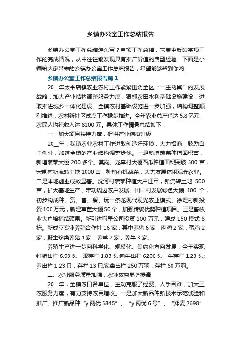 乡镇办公室工作总结报告（7篇）