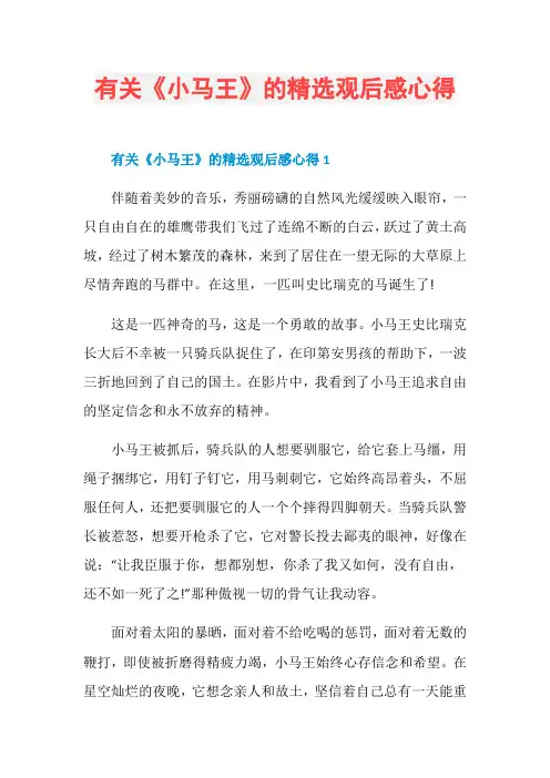 有关《小马王》的精选观后感心得