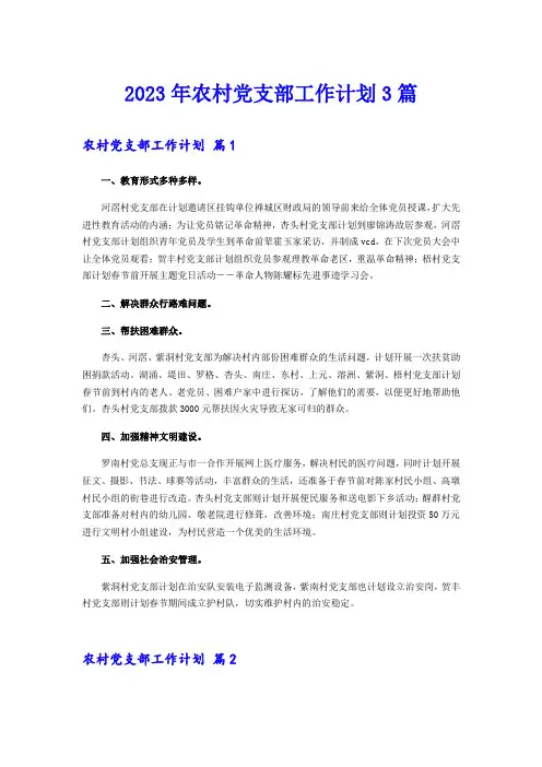 2023年农村党支部工作计划3篇