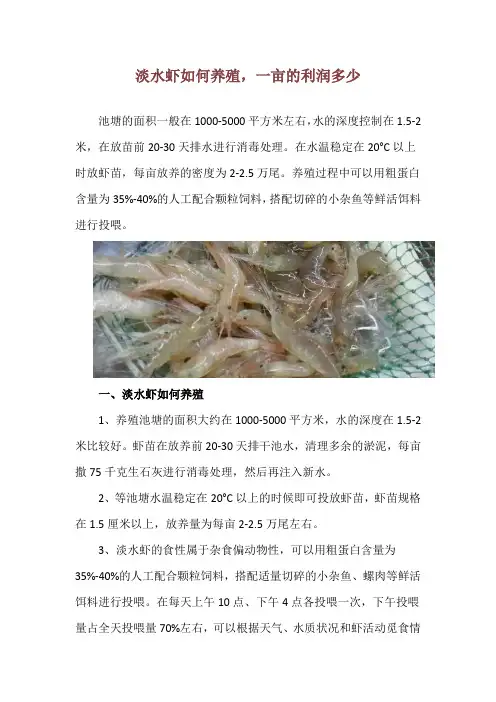 淡水虾如何养殖,一亩的利润多少