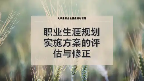 职业生涯规划实施方案的评估与修正
