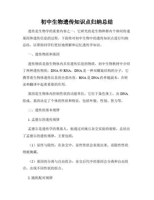初中生物遗传知识点归纳总结