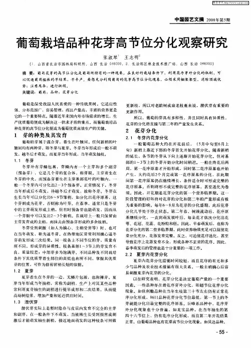 葡萄栽培品种花芽高节位分化观察研究