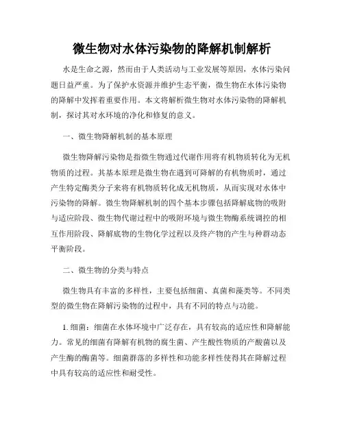 微生物对水体污染物的降解机制解析