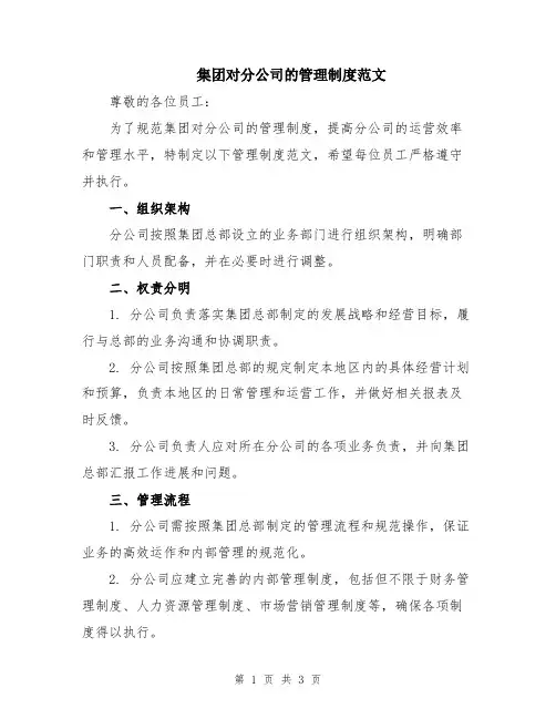 集团对分公司的管理制度范文