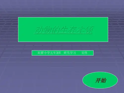 动物的生存本领