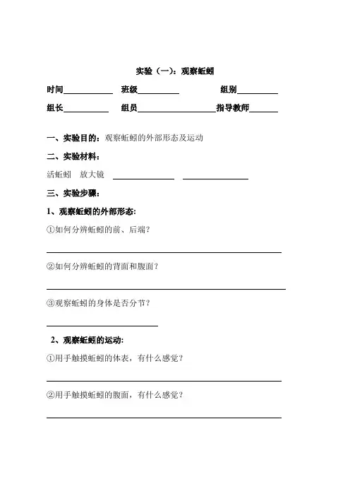 实验(一)：观察蚯蚓