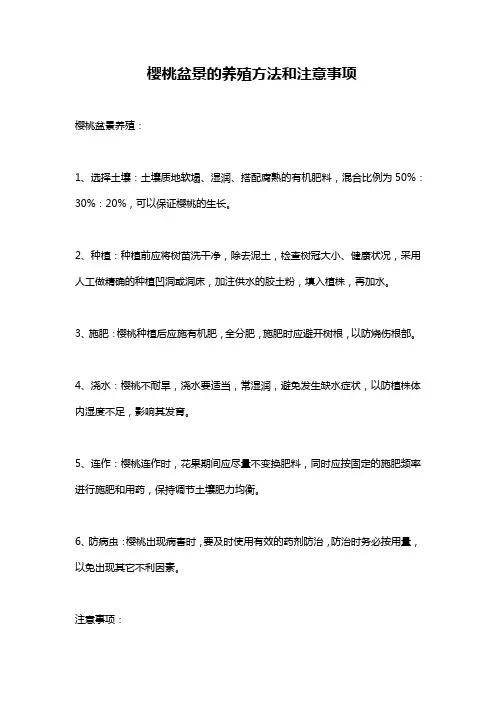 樱桃盆景的养殖方法和注意事项