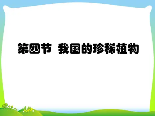 我国的珍稀植物-课件