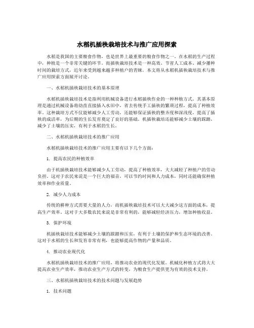 水稻机插秧栽培技术与推广应用探索