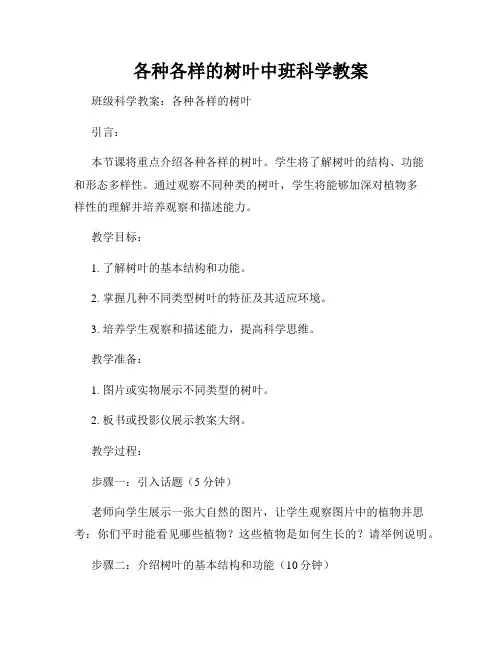 各种各样的树叶中班科学教案